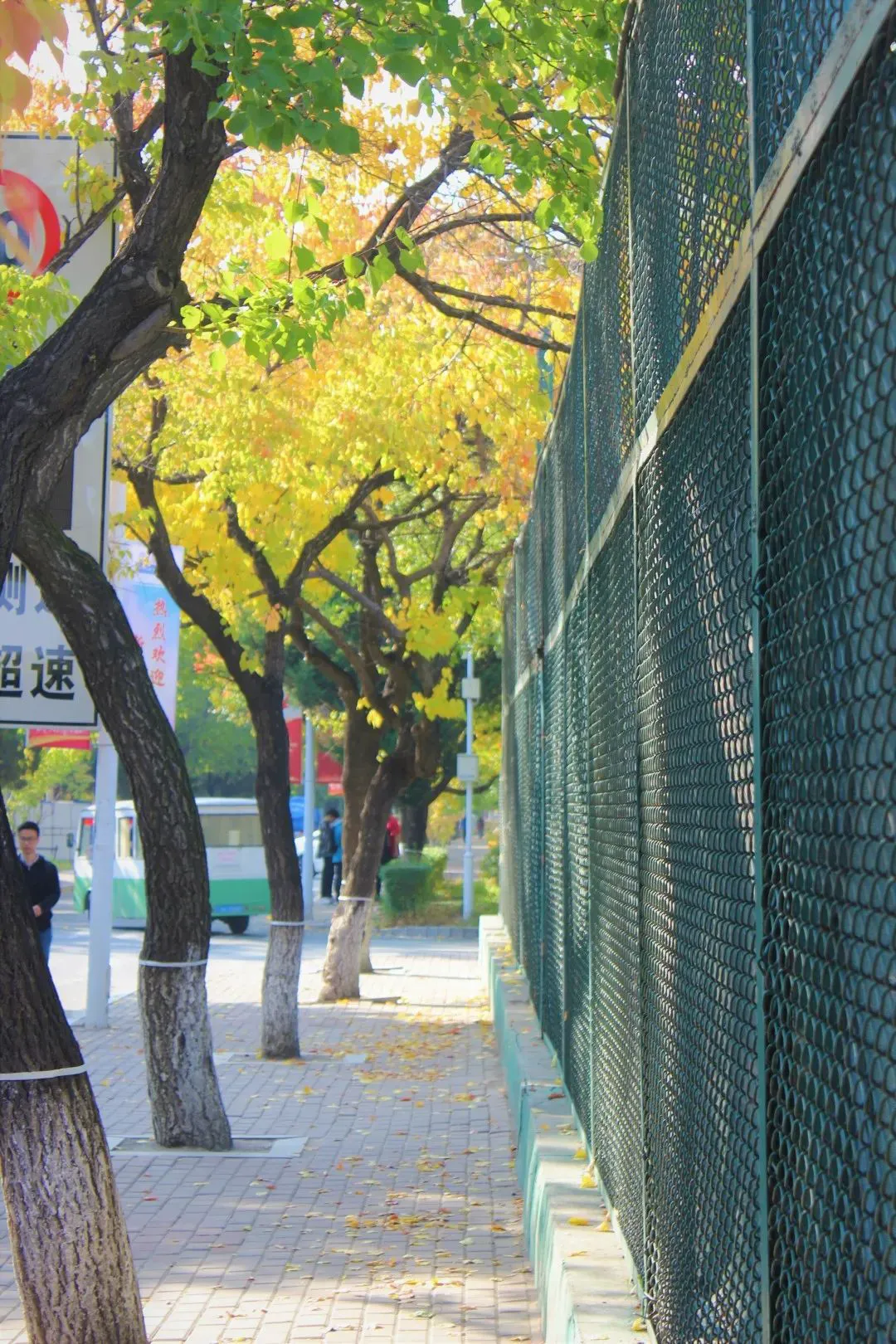 业余篮球爱好者应该怎样练习呼吸技巧?_1